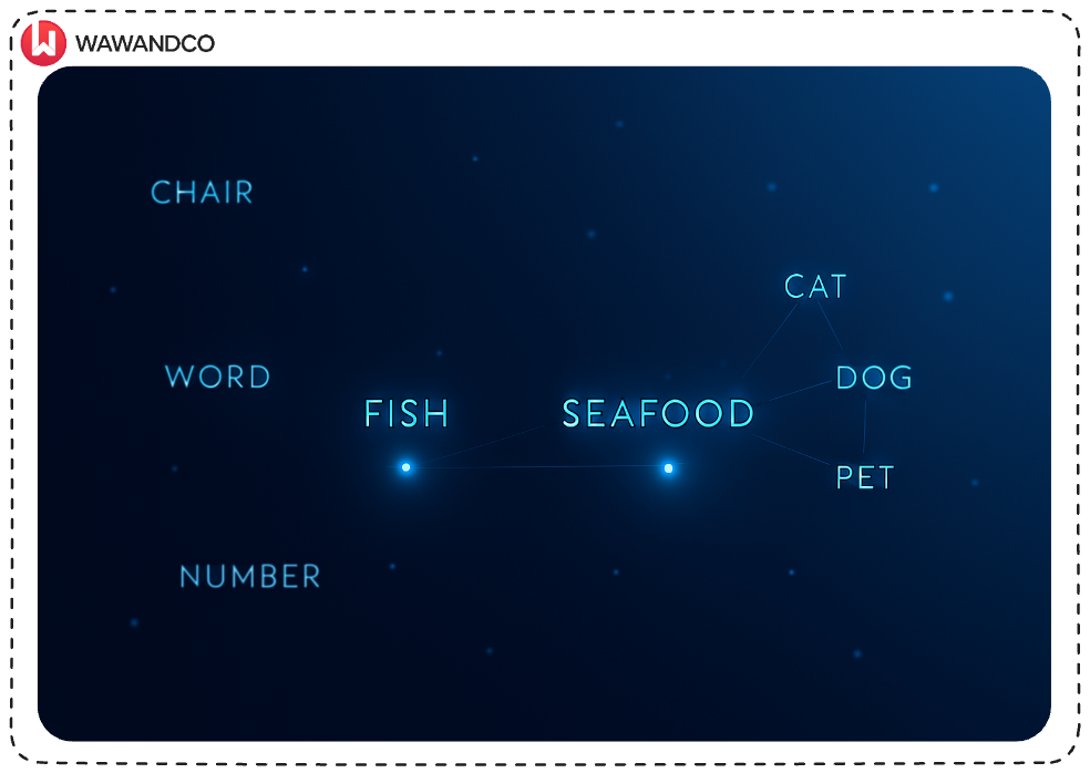 different words in space as connected to dots associated by their similarities in meaning
